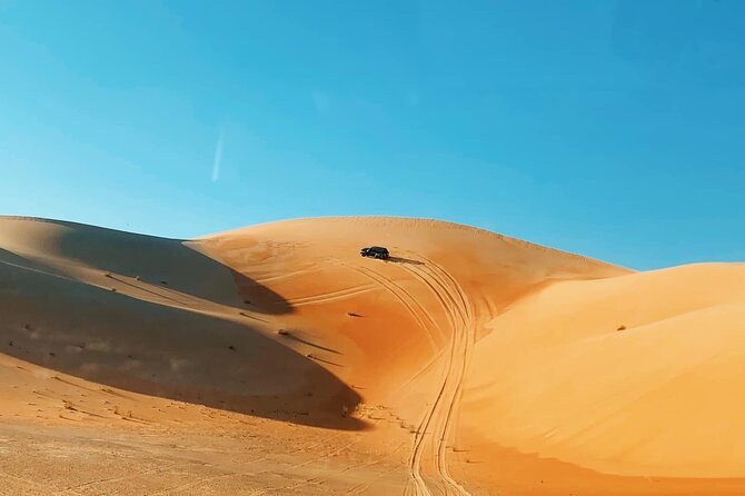 Red Dunes Sand Safari and Camel Ride With BBQ Dinner From Dubai