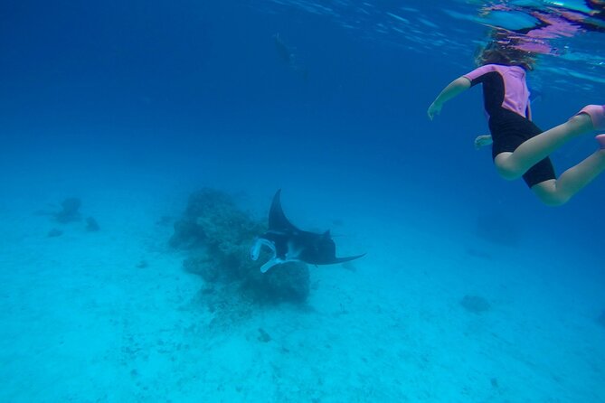 1 reef discovery private full day lagoon tour motu lunch Reef Discovery Private Full Day Lagoon Tour & Motu Lunch