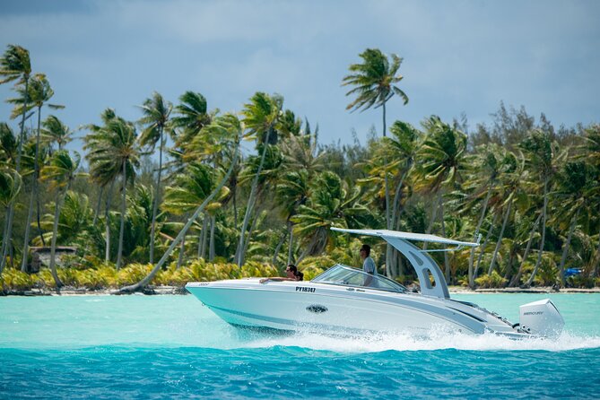 1 reef discovery private half day lagoon tour Reef Discovery Private Half Day Lagoon Tour