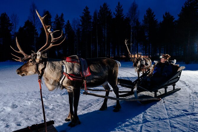 Reindeer Sleigh Ride Across the Night in Apukka Resort Rovaniemi