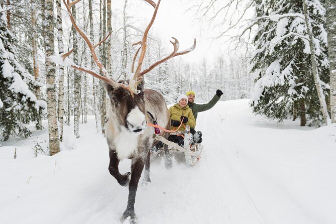 Reindeer Sleigh Ride and Farm Experience From Rovaniemi - Meeting and Pickup Information