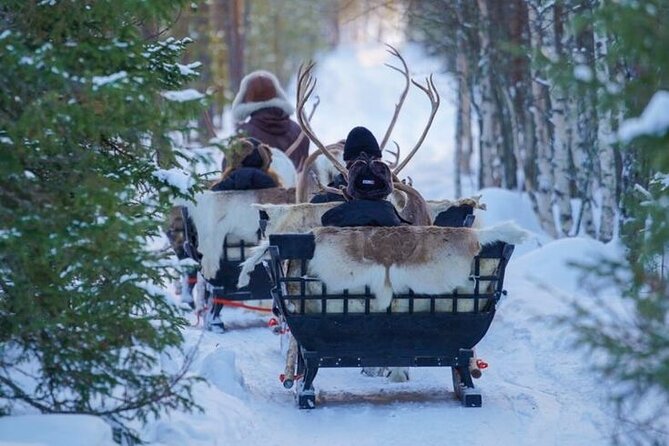 Reindeer Sleigh Ride in the Arctic Forest 2.5 Km