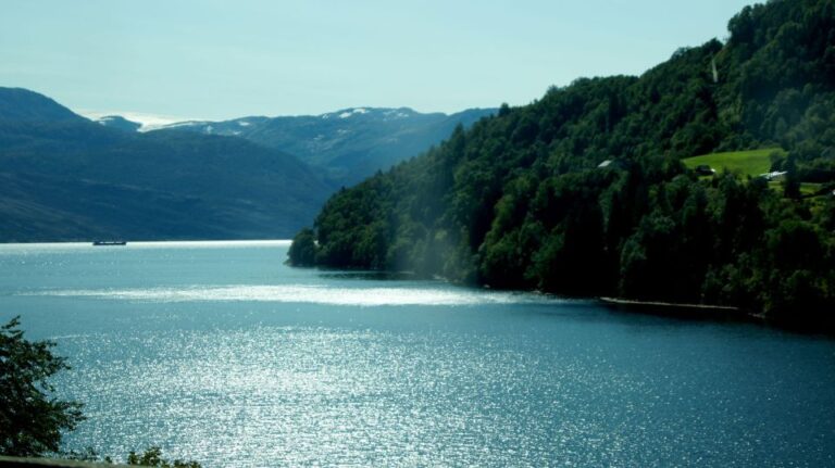 Relaxed Day Trip to Hardanger Fjord With Waffle Coffee Incl.