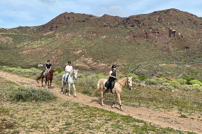 Relaxing Horse Riding Tour in Gran Canaria