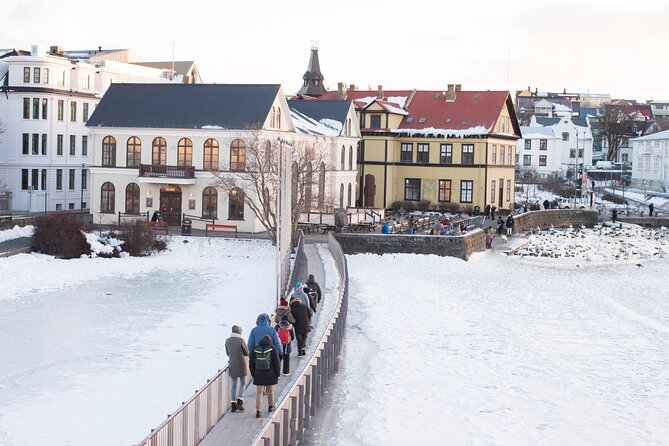 Reykjavík 3-Hour Viking History Walk With Traditional Lunch  – Reykjavik