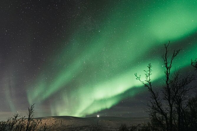 Reykjavik Northern Lights And Roundtrip Tour