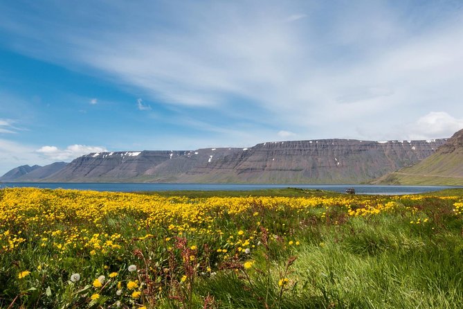 Reykjavik Private Borgarfjordur Tour