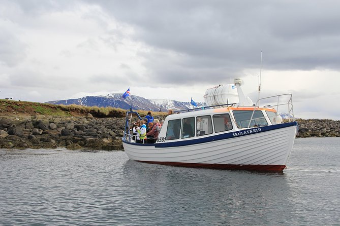 1 reykjavik shore excursion puffin sightseeing cruise Reykjavik Shore Excursion: Puffin Sightseeing Cruise