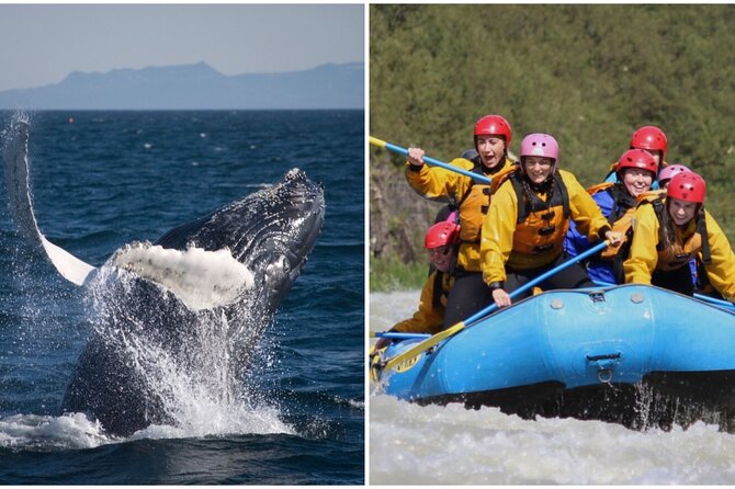 Reykjavik Whales & White Water Rafting Adventure
