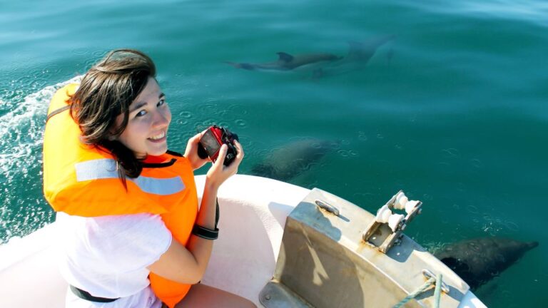 Ria Formosa: Dolphin-Watching Boat Tour