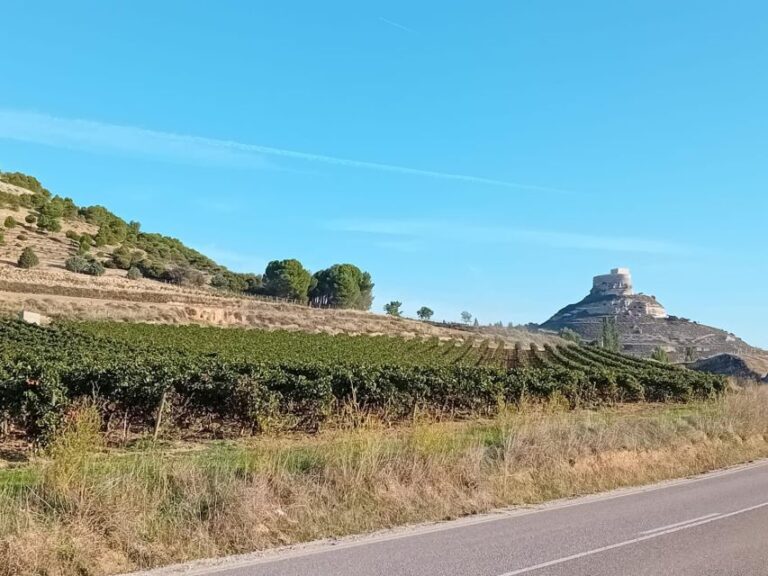 Ribera Del Duero Tour: Full Day Wine Tour From Madrid