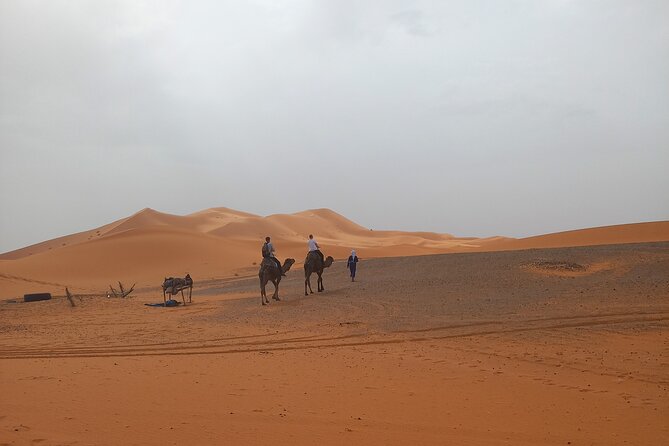 1 ride the camels for sunset in merzouga dunes Ride the Camels for Sunset in Merzouga Dunes