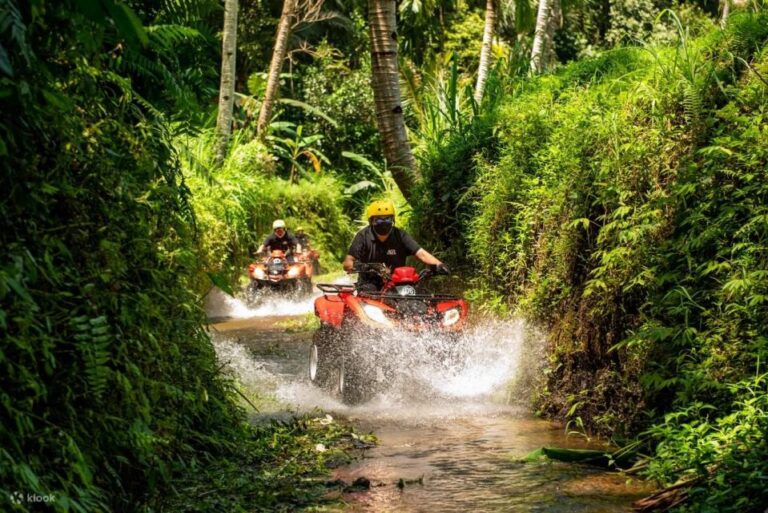 Ride the Wild: Bali ATV Expedition & Jungle Safari Adventure