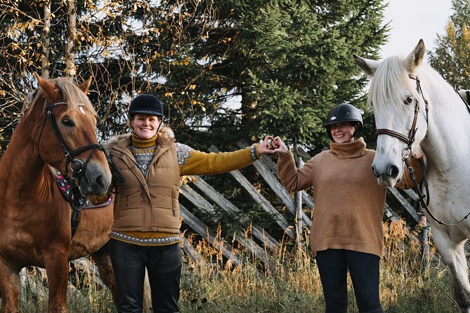 1 riding tour with finnhorses at santa claus village Riding Tour With Finnhorses at Santa Claus Village