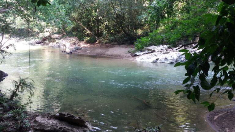 Rio Claro Jungle River: Private Tour From Medellín