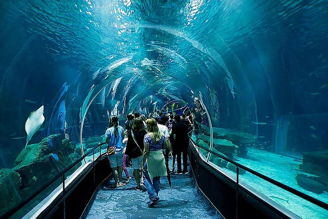 Rio De Janeiro Aquarium Ticket With Transport