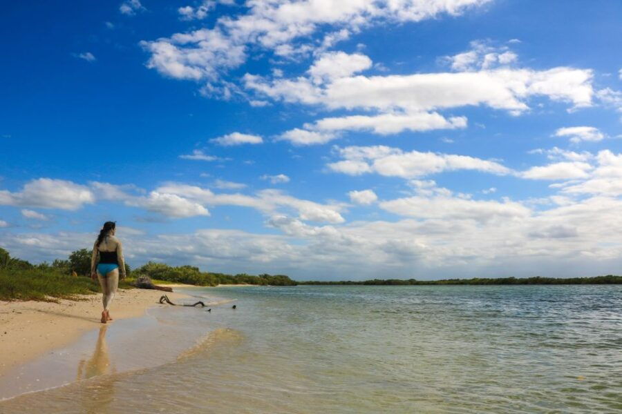 Rio Lagartos: River Boat Tour With Natural Mayan Bath