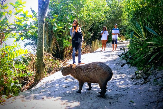 Rio Nature Secrets - the Eco Citytour (Small Group or Private) - Group Size Options