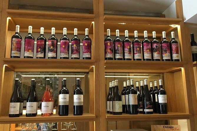Rioja Winery Hopping Tour From San Sebastian