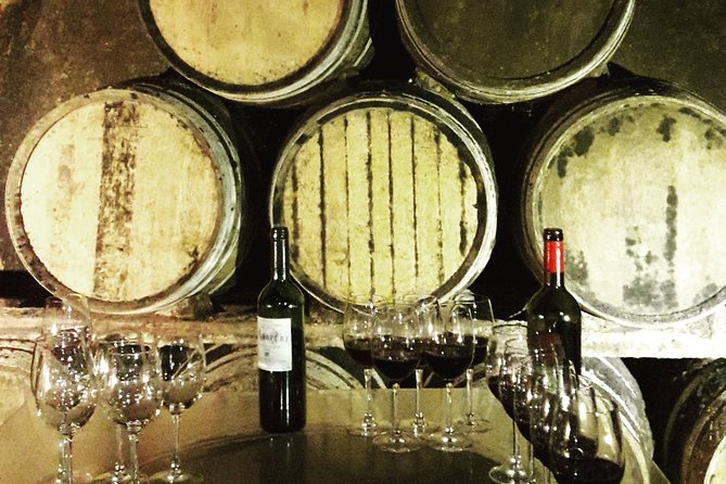 Riojas Top Wines Tasting Private Tour