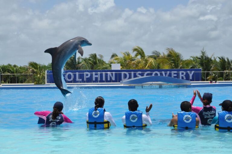 Riviera Maya: Dolphin Encounter With Beach Club Access