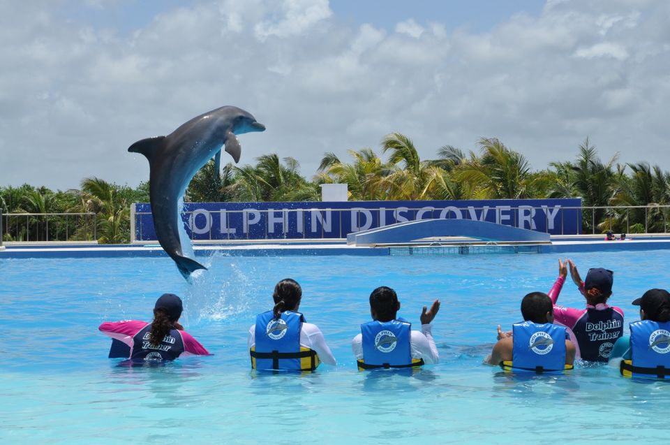 1 riviera maya dolphin encounter with beach club access Riviera Maya: Dolphin Encounter With Beach Club Access