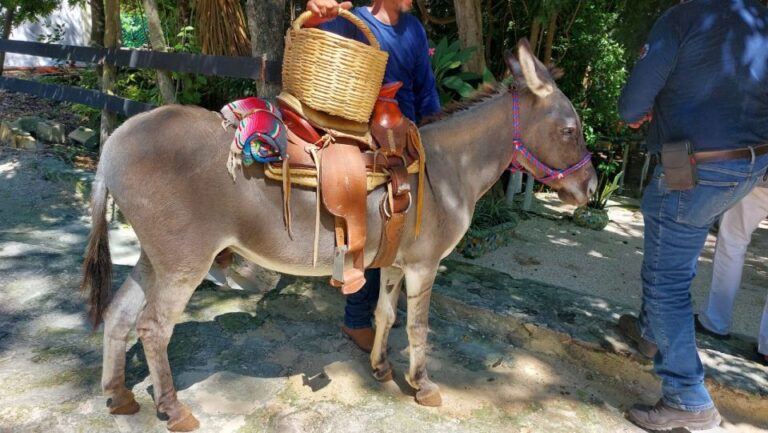 Riviera Maya: Horseback Riding at Rancho Bonanza