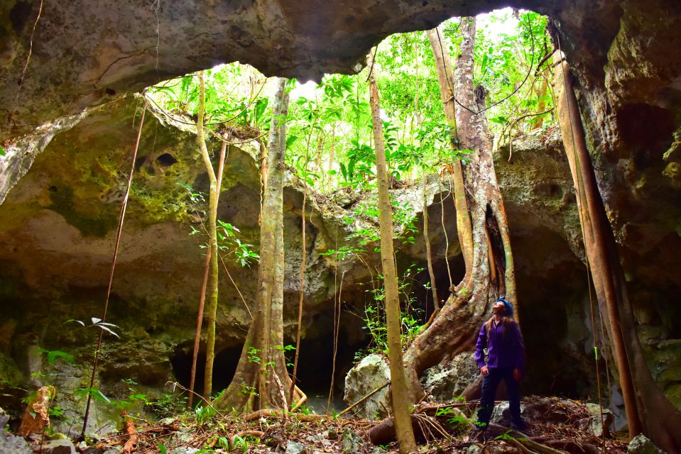 1 riviera maya rio secreto wild tour with lunch Riviera Maya: Rio Secreto Wild Tour With Lunch