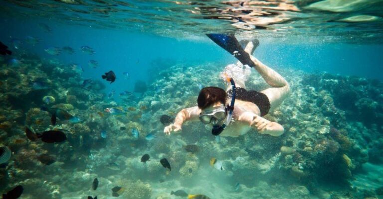 Riviera Maya: Two-Reef Snorkeling Experience