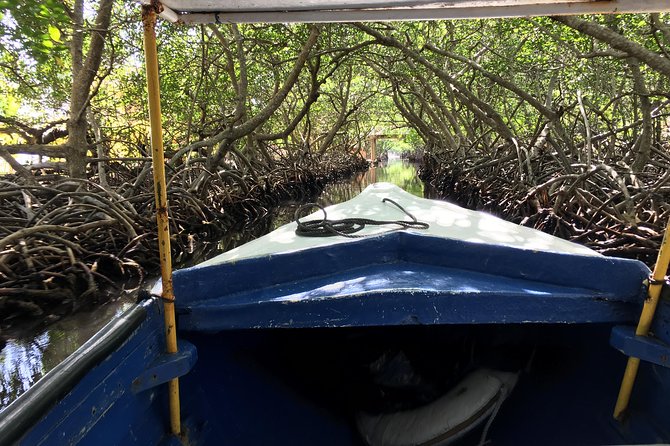 Roatan Shore Excursion: Punta Gorda Garifuna History and Mangrove Tunnel