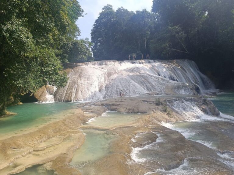 Roberto Barrios Waterfalls From Palenque