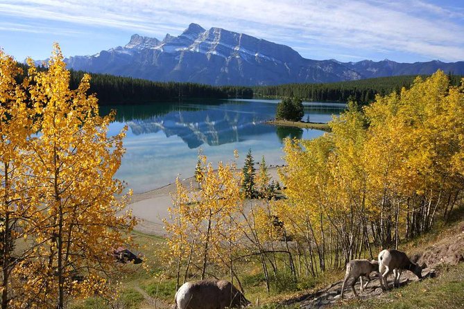 1 rockies 4 day tour from calgary visit icefield jasper and yoho np Rockies 4 Day Tour From Calgary Visit Icefield Jasper and Yoho NP
