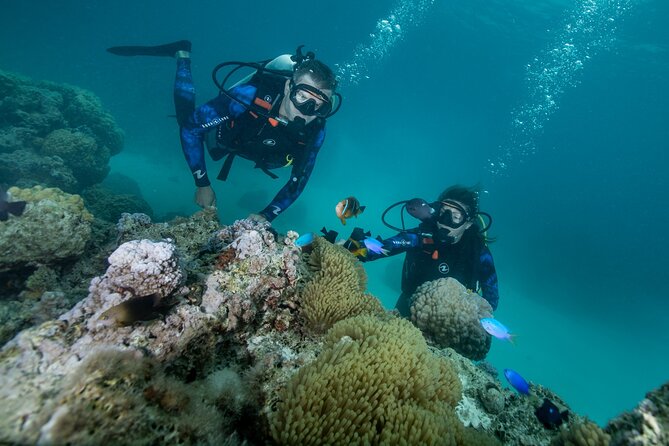 Romantic Dive in the Lagoon of Bora Bora