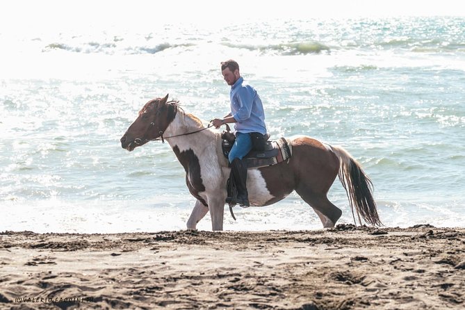 1 rome private half day beach horseback ride Rome Private Half-Day Beach Horseback Ride