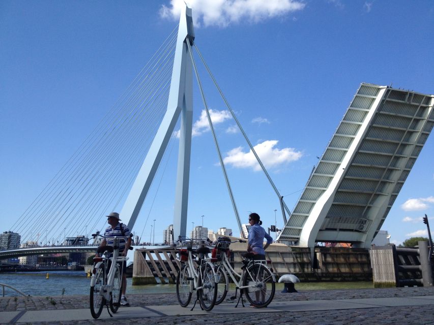 1 rotterdam city highlights guided bike tour Rotterdam: City Highlights Guided Bike Tour
