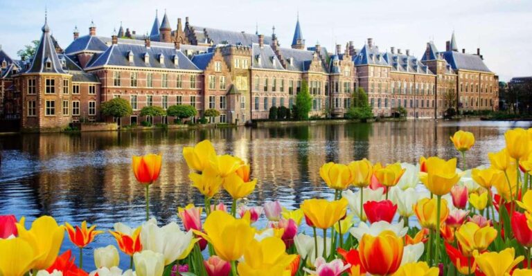 Rotterdam, Hague & Delft Private Tour From Amsterdam by Car