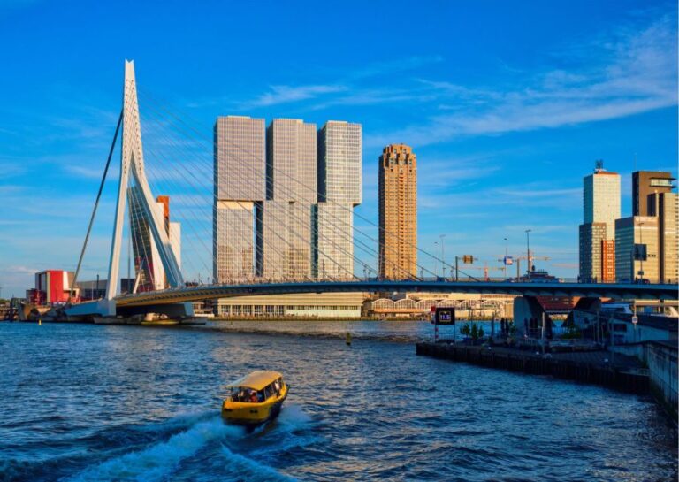 Rotterdam Highlights With Local: Walking Tour & Boat Cruise