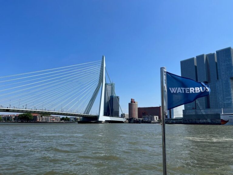 Rotterdam: Waterbus Ticket to Dordrecht And/Or Kinderdijk