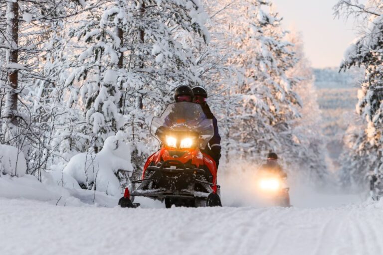 Rovaniemi: 2-Hour Snowmobiling Experience