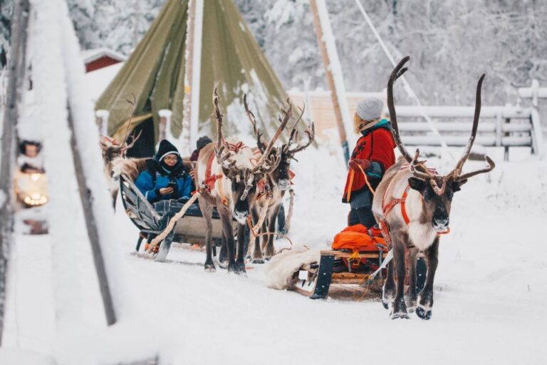 Rovaniemi: Apukka Reindeer Journey