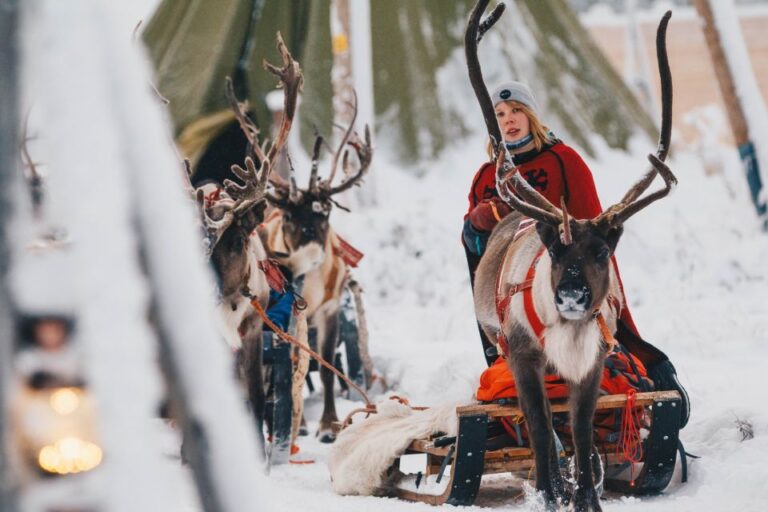 Rovaniemi: Apukka Reindeer Sleigh Safari at Night