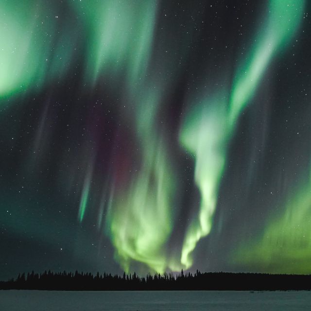 Rovaniemi: Aurora Borealis Hunting Photo Tour