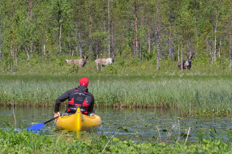 1 rovaniemi authentic reindeer farm canoeing Rovaniemi: Authentic Reindeer Farm & Canoeing