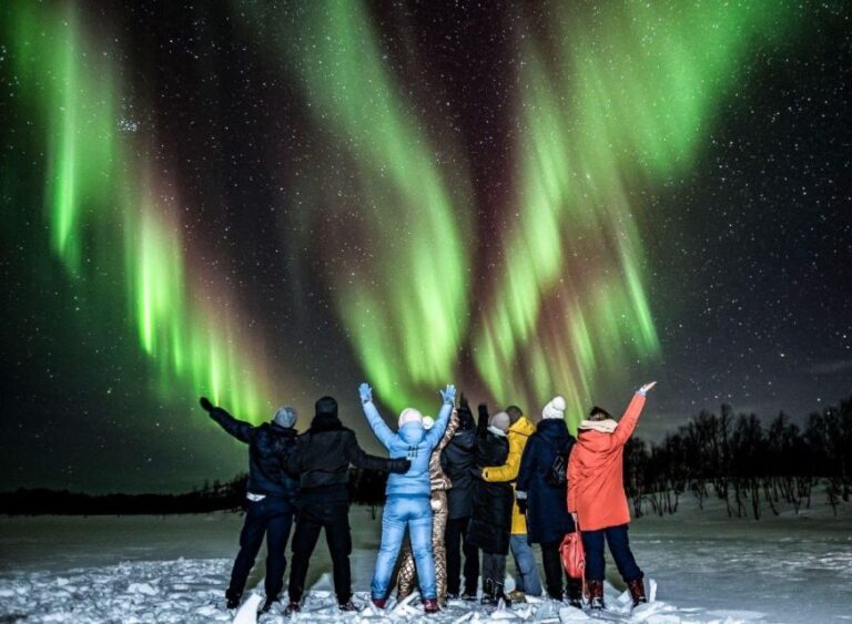 Rovaniemi: BBQ Picnic Experience Under Northern Lights