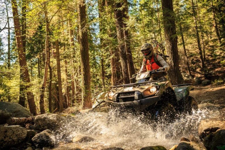 Rovaniemi: Delightful Quad Bike Ride in the Arctic Circle