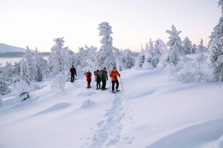 Rovaniemi: Hiking and Snowshoeing Adventure in Lapland