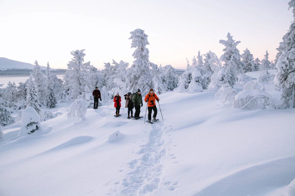 1 rovaniemi hiking and snowshoeing adventure in lapland Rovaniemi: Hiking and Snowshoeing Adventure in Lapland