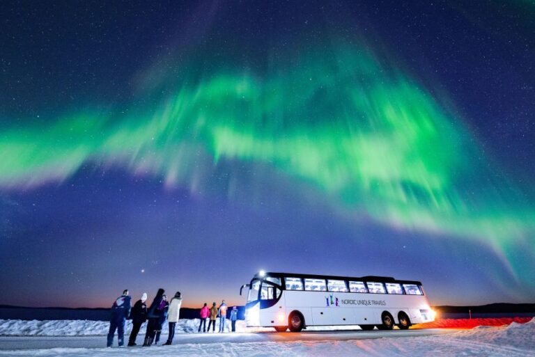 Rovaniemi: Hunting Northern Lights Bus Tour