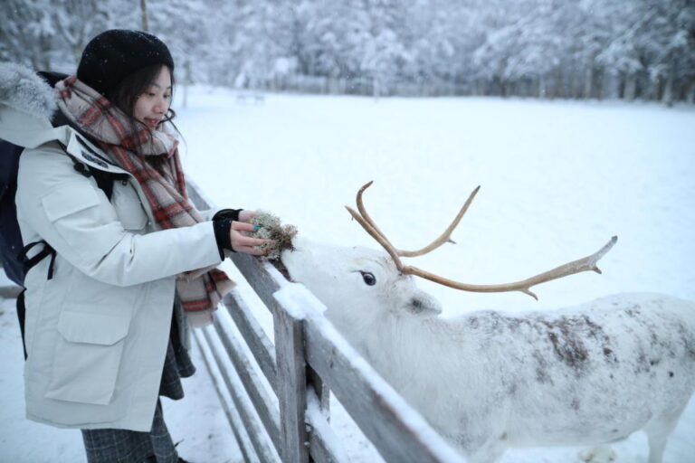 Rovaniemi: Husky and Reindeer Farm Visit With Sleigh Rides