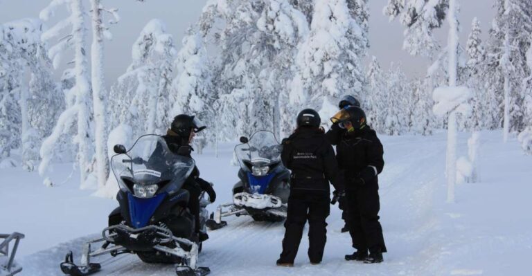 Rovaniemi: Husky & Reindeer Farm Visit With Snowmobile Ride